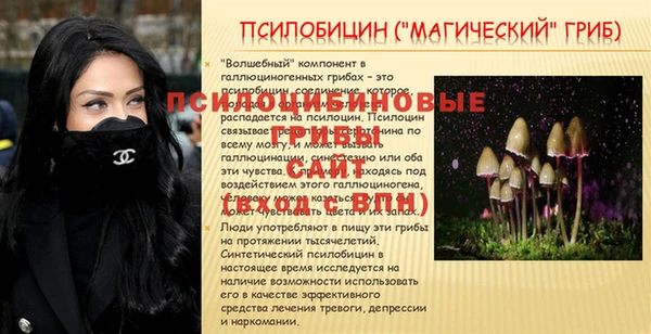 мяу мяу мука Нягань