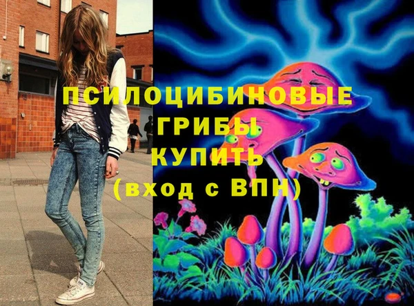 MESCALINE Няндома