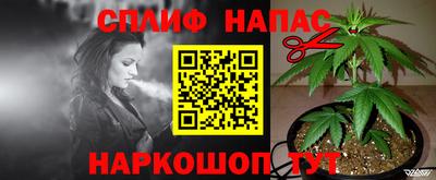 шишки Гусев