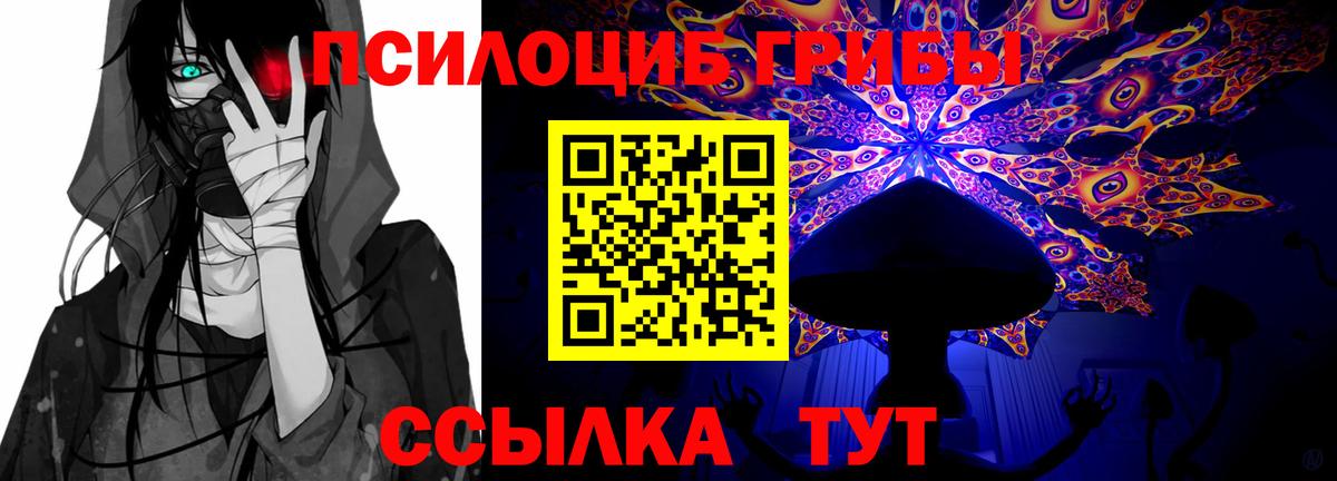 Кувандык  Псилоцибиновые грибы GOLDEN TEACHER  Вход с VPN 